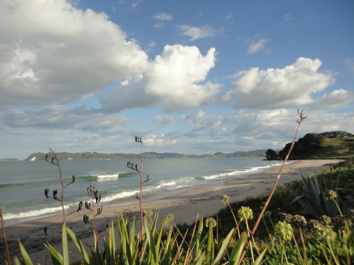 Ocean View B&B Whitianga Bagian luar foto