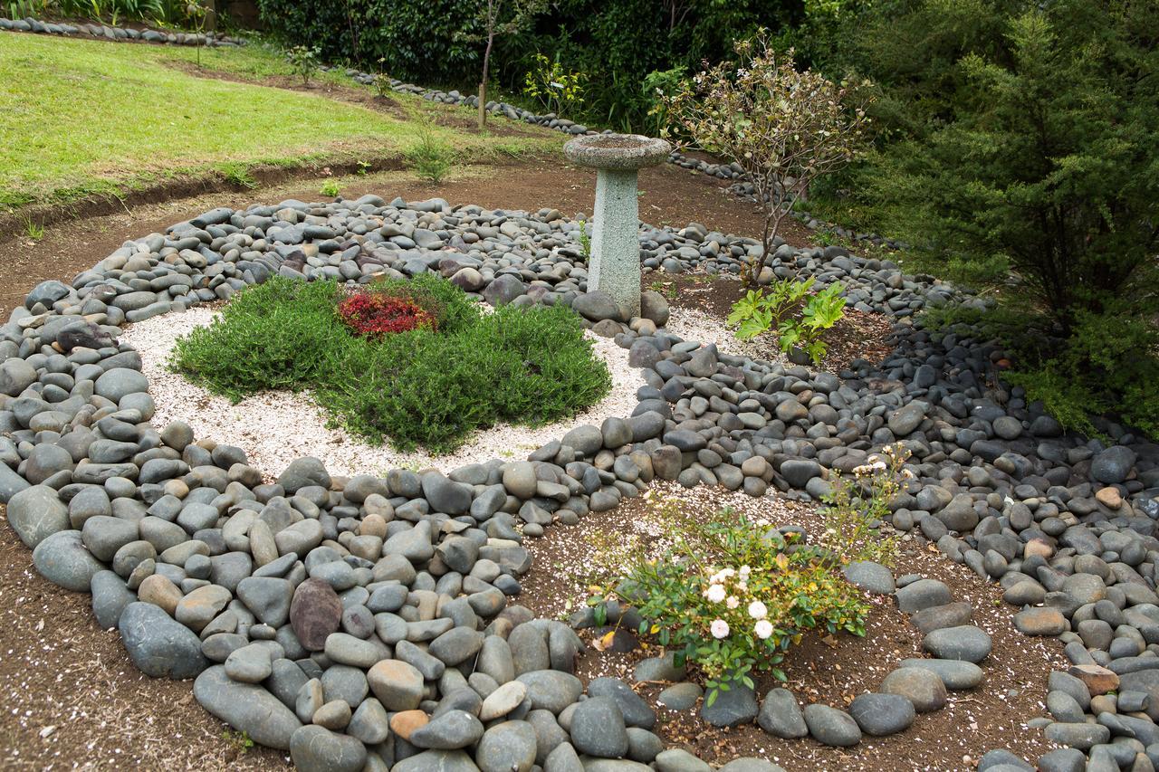 Ocean View B&B Whitianga Bagian luar foto