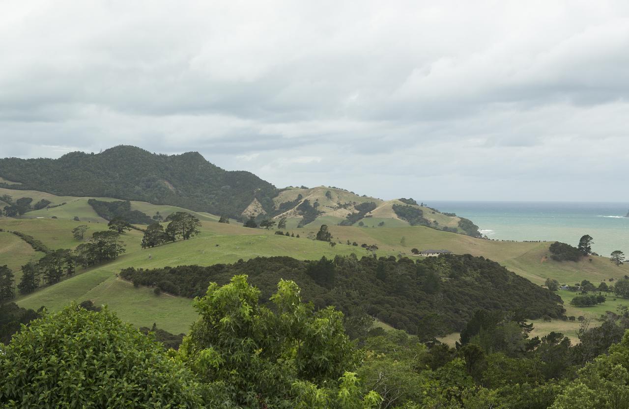 Ocean View B&B Whitianga Bagian luar foto